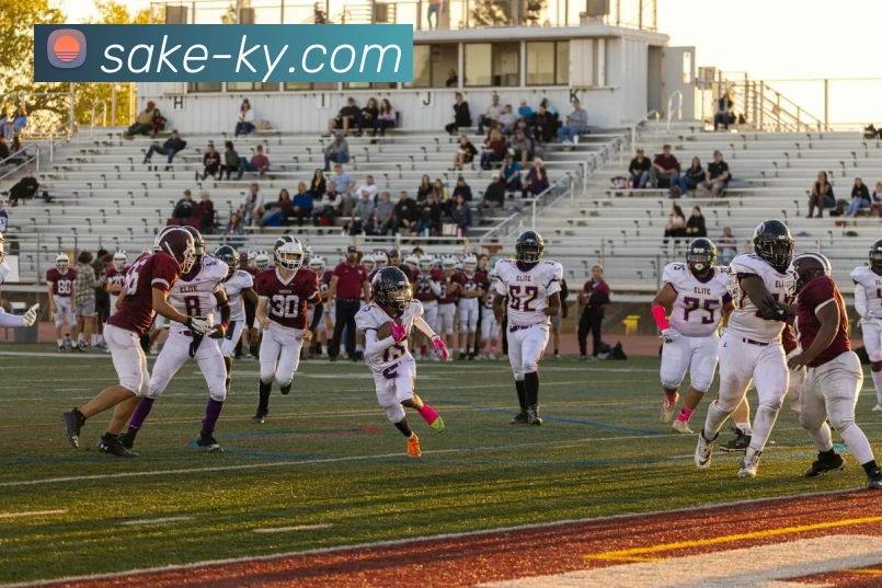 开云，kaiyunAPP 体育赛事宣传图